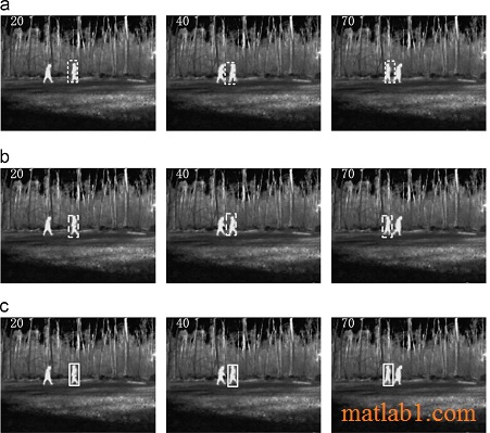 Particle filter based on Particle Swarm Optimization resampling for vision tracking