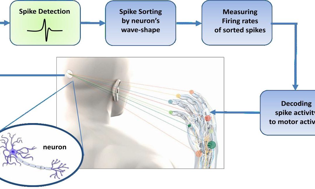 Neural Recording Channels