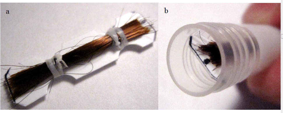 Figure 1 Pictures of the capillary fiber phantom: Fiber bundle mounted on the carrier (panel a, left) and inserted into specimen tube (panel b, right).