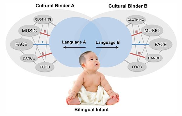 Bilingual Intervention In Bilingual Children With ASD