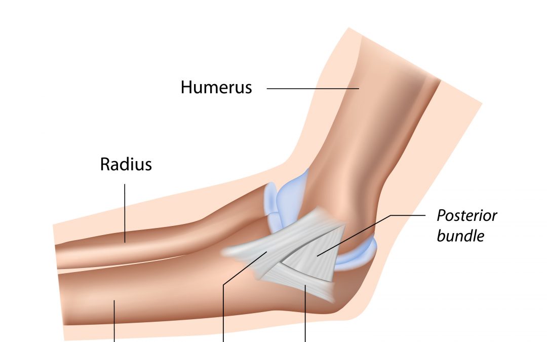 Ulnar Collateral Ligament