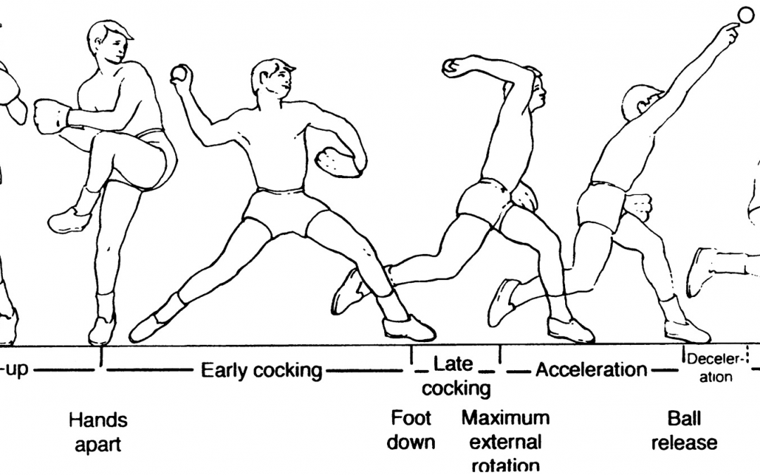 FIGURE 1. Throwing Phases Meister, 2000