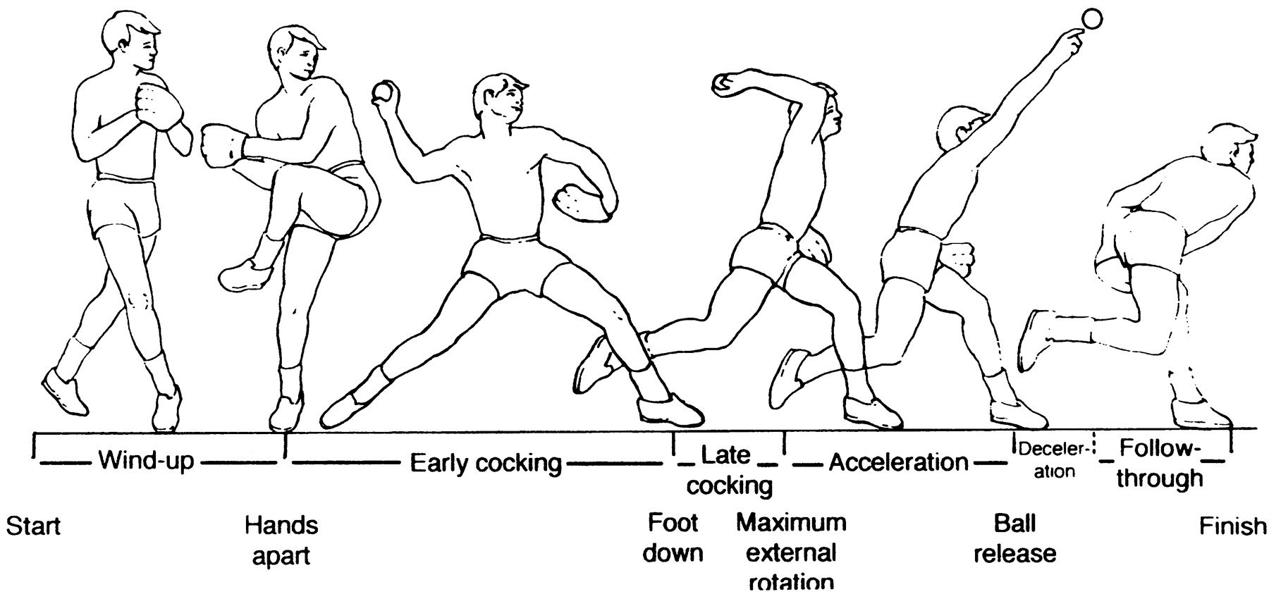 FIGURE 1. Throwing Phases Meister, 2000