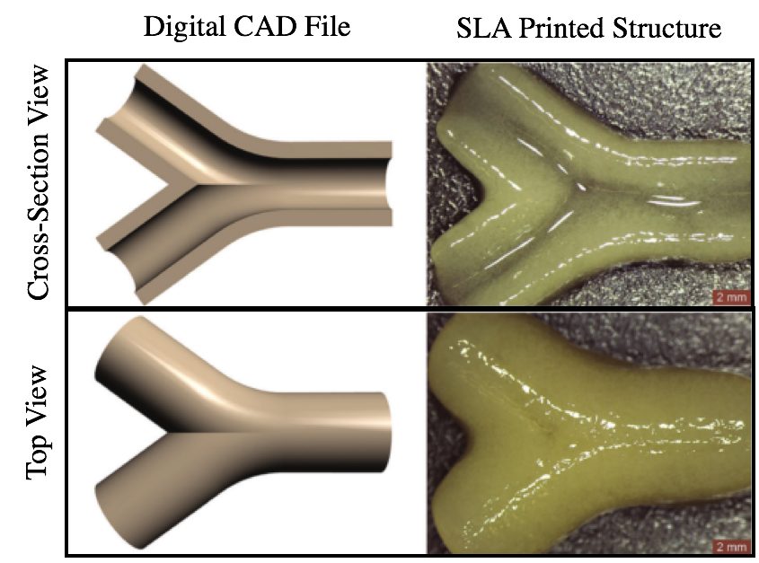 Figure 4 Work demonstrating SLA 3D printed hydrogel constructs with a channel, where the minimum feature size is ~1 mm, adapted from Elomaa et al.