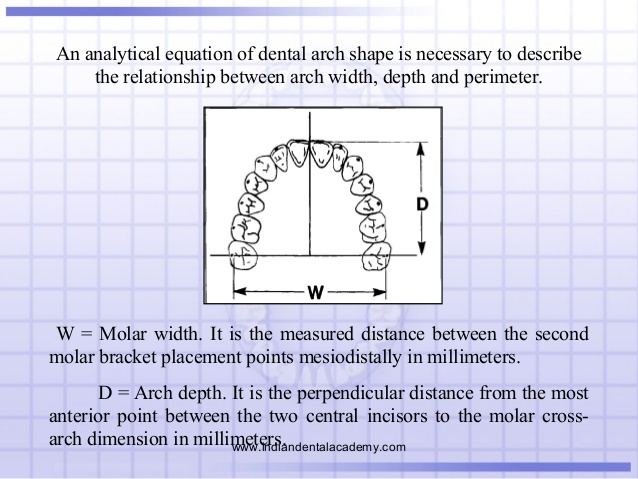 Arch Perimeter and Canine Width