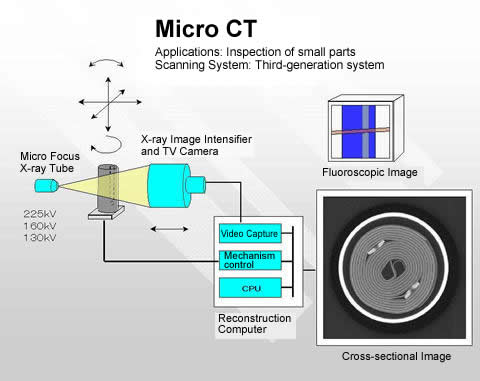 Micro-CT Scanning