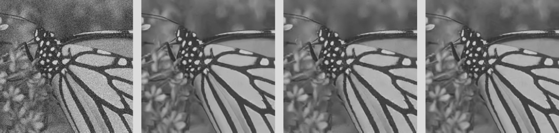 Denoising performance comparison for monarch image