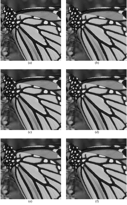 Interpolation results of the image Butterfly when the LR image is generated by low-pass filtering and downsampling the HR image