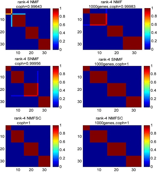 Reordered consensus matrices and the corresponding cophenetic correlation