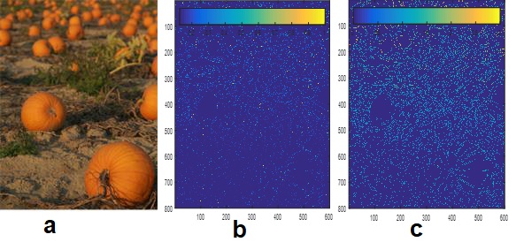 a) input image and sparse defocus maps before (b) and after (c) applying the bilateral filter