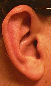 ear detection matlab