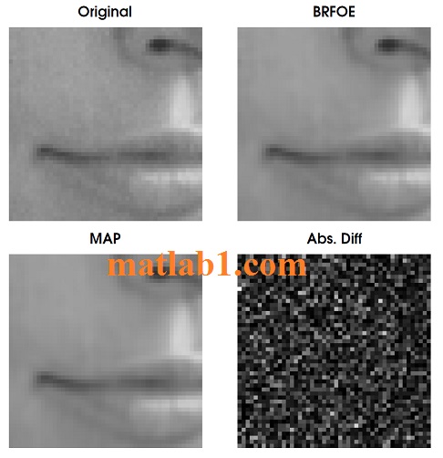 Denoising results for the original Lena image using simple scale-invariant Bayesian and BRFOE denoising. On the top left is the original image (detail), on the top right is the denoised image (BRFOE). Details are fully preserved in the denoised image, but noise is much less apparent. MAP denoising is on bottom left. Difference image is scaled, and with BRFOE image.