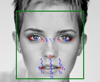 Face bounding box (green), detected landmarks (red), and calculated keypoints (blue)