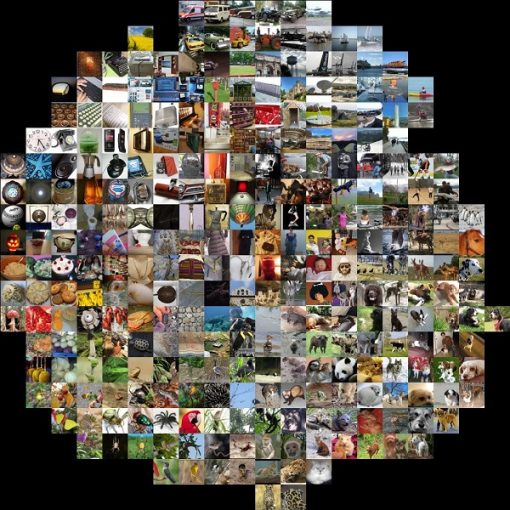 Visualizing activation of deep learning models
